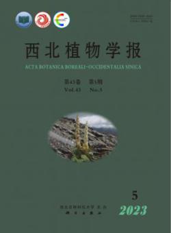 西北植物学报